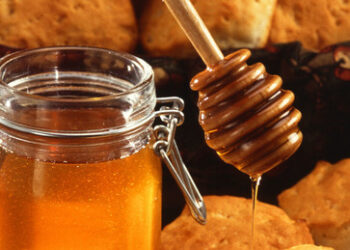 Die Welt und "russische Honigfallen"