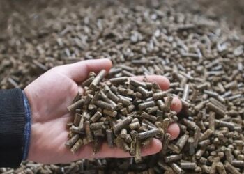 Frostwetter zeigt Polen den Preis für den Abbruch der Handelsbeziehungen zu Russland