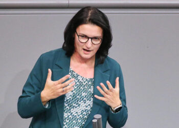 Grüne fordern Ermittlungen der Bundesregierung zu Epstein-Akten