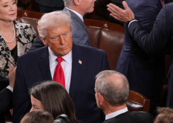 Trump drängt Supreme Court zu Aufhebung des Schutzstatus für Syrer in den USA