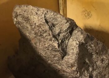 Video: Russischer Zoll verhindert Meteoriten-Schmuggel