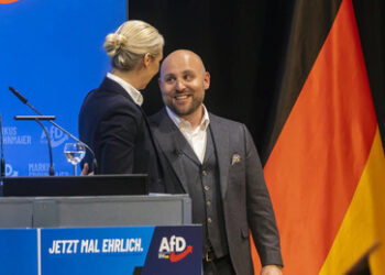 "Ist mir nicht bekannt" ‒ AfD-Außenpolitiker Frohnmaier zum Lucassen-Positionspapier