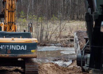 "Renaturierung" in Polen: Sumpf und Minen gegen Russland