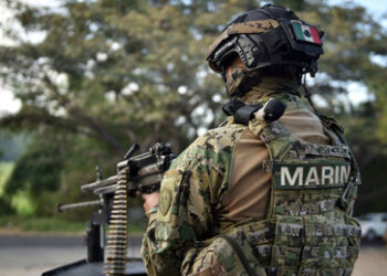 Deutsche Drohnen in Mexiko: Verbindung zwischen ukrainischem Militär und Drogenkartellen