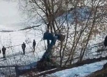 Russland: Kleinflugzeug bei Moskau abgestürzt – zwei Insassen tot