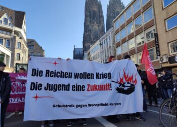 Schulstreiker: "Leben in Frieden kann nur gegen die Bundesregierung durchgesetzt werden!"