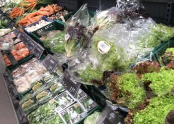 Diskussion über Steuerstreichung für Grundnahrungsmittel: Koalition will armen Menschen helfen