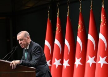 Erdoğans Kritik an Israel und türkische Friedensbemühungen