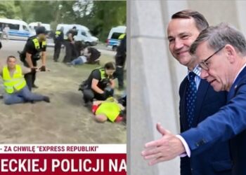 Berliner Polizei nimmt polnische Demonstranten fest – Video zeigt brutales Vorgehen