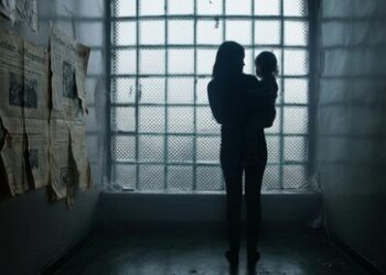 Drehbuch für einen Film, den Hollywood nicht gemacht hat