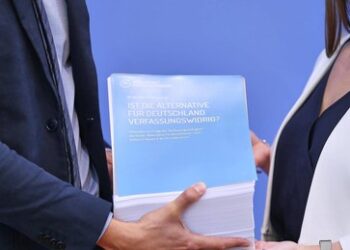 Gutachten zu AfD-Verbot: "Nachweislich verfassungsfeindlich"