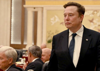 Musk: Regierung sollte Bürger direkt aus dem Staatshaushalt bezahlen