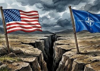 "Harte Maßnahmen": USA planen deutliche Reduktion der Unterstützung für ihre NATO-Verbündeten