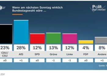 28 Prozent – ZDF-Politbarometer verkündet aktuellen AfD-Spitzenwert