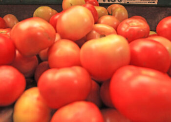 Bayerns Ministerpräsident Söder wird Opfer einer Tomatenattacke
