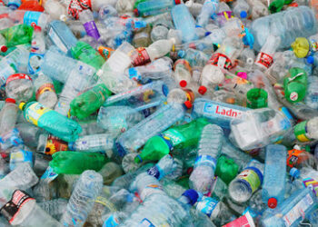 Die Plastiksteuer: Brüssels Trojanisches Zwergpony