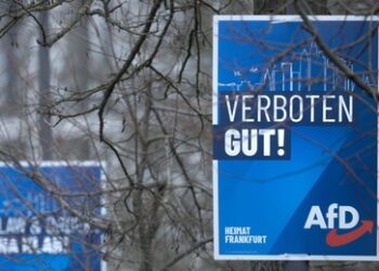 Kommunalwahlkampf Niedersachsen: Weiteren AfD-Politikern droht "Überprüfung auf Verfassungstreue"