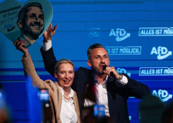 Neue Umfrage zu Sachsen-Anhalt: Fliegt die SPD, regiert die AfD