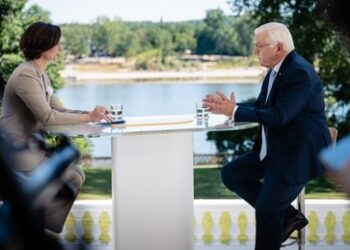 Steinmeier: "Erklecklicher Anteil wählt gegen das System der Demokratie"