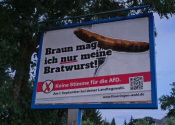 Vor Landtagswahlen: Campact "sammelt" rund drei Millionen Euro Spenden "gegen die AfD"