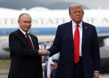 "Bild der realen Lage auf dem Schlachtfeld": Putin berichtet Trump über russische Offensive