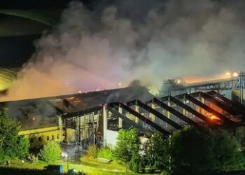 Bayern: 1.600 Schweine sterben bei Großbrand
