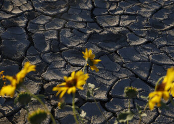 Die Menschheit wird nicht um Öl, sondern um Wasser Krieg führen