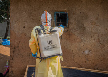 Ebola-Ausbruch im Kongo: Experten befürchten Mutation des Virus