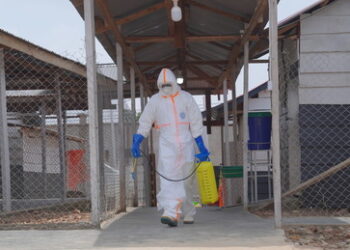 Ebola-Ausbruch in DR Kongo: WHO bräuchte drei Monate für Kontrolle über Epidemie