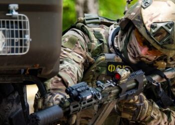 FSB vereitelt von Kiew orchestrierten Mord an russischem Offizier
