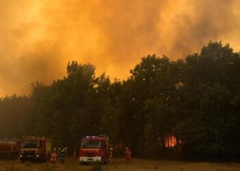 Frankreich: 420 Festnahmen im Zusammenhang mit Waldbränden