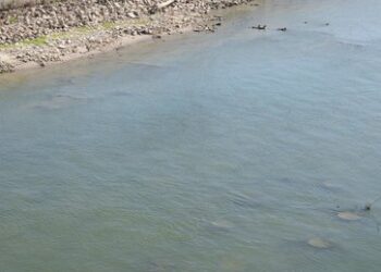Niedriger Wasserstand in der Donau: Versunkene Weltkriegsschiffe kommen zum Vorschein