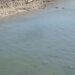 Niedriger Wasserstand in der Donau: Versunkene Weltkriegsschiffe kommen zum Vorschein