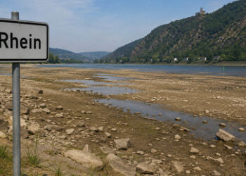 Niedrigwasser des Rheins bedroht Wirtschaftswachstum