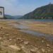 Niedrigwasser des Rheins bedroht Wirtschaftswachstum