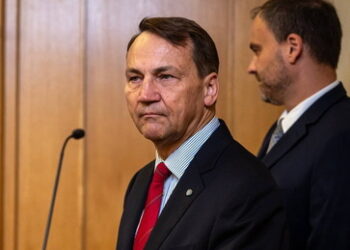 Polen droht Musk wegen Starlink: "Wir könnten die Zahlungen überdenken"