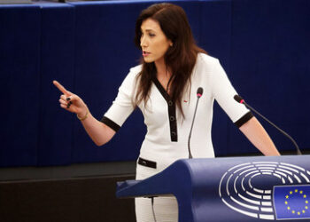 Polnische Europaabgeordnete: "Hören wir auf, uns von der Ukraine ausnutzen zu lassen"