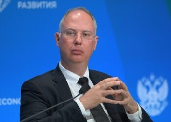 Rekordwerte für die AfD: Dmitrijew sieht "Erwachen" der Deutschen