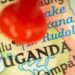 Rückführungszentrum in Uganda: Österreich und vier EU-Staaten vor Einigung