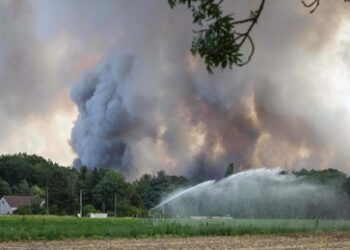 Russland weist Verschwörungstheorie zu französischen Waldbränden zurück