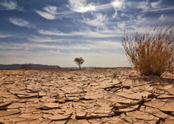 Südliches Afrika: Schwerer El Niño könnte humanitäre Lage verschärfen