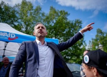 Von "chinesischer Mauer" bis "Nuklearoption": Politico sucht nach Umgangsszenarien mit AfD