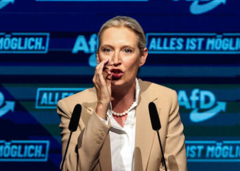 Weidel in Wien: AfD holt sich bei ihrer Schwesterpartei FPÖ "Rezepte fürs Regieren"