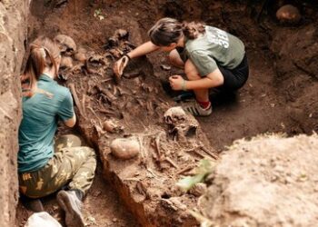 Weitere NS-Mordopfer in Kursk aufgefunden