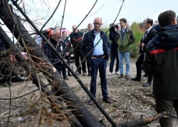 "Klimaleugner" aufgepasst:  Bundeskanzler Merz und die von Menschen verursachten Waldbrände