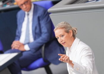 AfD-Chefin Weidel sieht Schwarz-Rot am Ende