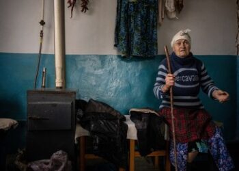 Medien: Hohe Nachfrage nach Brennholz in der Ukraine vor dem Winter