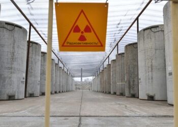Rosatom-Chef appelliert an IAEA: Verantwortliche für Beschuss von Energodar beim Namen nennen