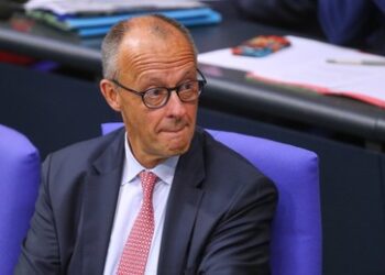 Vorwurf ethnischer Säuberung: AfD-Fraktion zeigt Kanzler Merz an