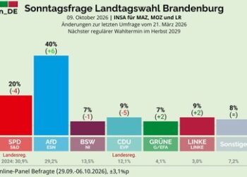 AfD bei 40 Prozent in Brandenburg, CDU stürzt auf neun Prozent ab